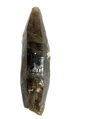Smoky Quartz Large Crystal – A Striking Natural Specimen from Brazil