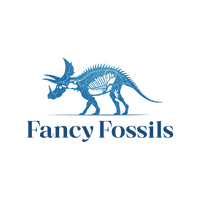 FancyFossils